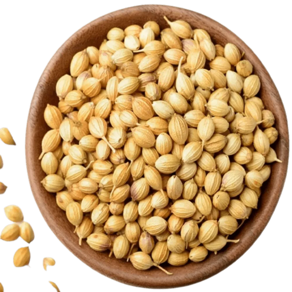 Coriander Seeds 100gm